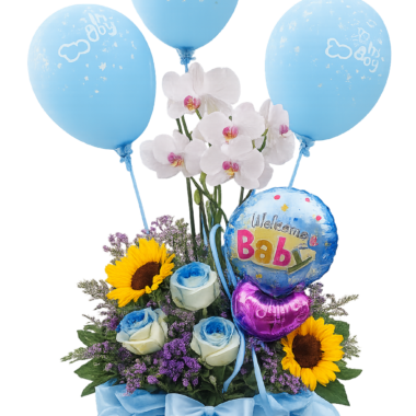 Σύνθεση Δώρου “Welcome Baby Boy” με Ορχιδέα & Ηλίανθους