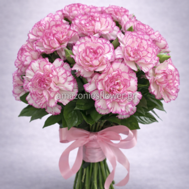 Ανθοδέσμη Ροζ Γαρύφαλλα Δίχρωμα