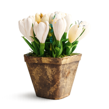 Διακοσμητική Σύνθεση με Λευκά Άνθη σε Rustic Γλαστράκι