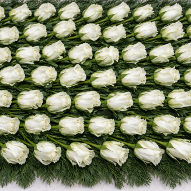 ΤΑΦΙΚΗ ΣΥΝΘΕΣΗ ΜΕ ΛΕΥΚΑ ΤΡΙΑΝΤΑΦΥΛΛΑ