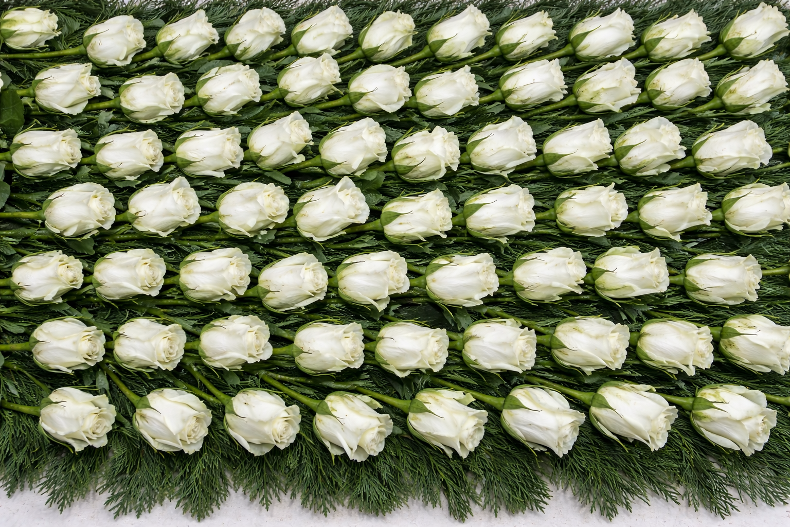 E68BD50F-FFA6-49DD-A30B-52C5F4C59D12